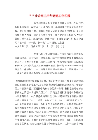 --分公司上半年党建工作汇报