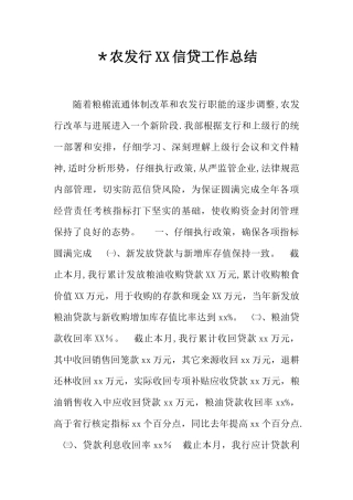 -农发行XX信贷工作总结
