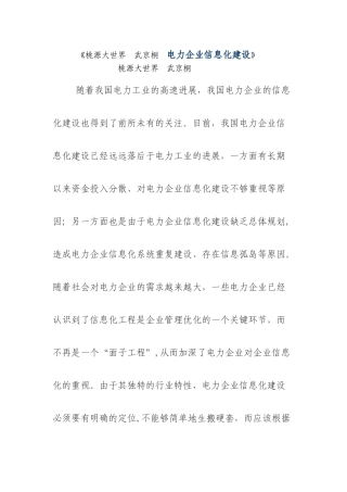 -电力企业信息化建设