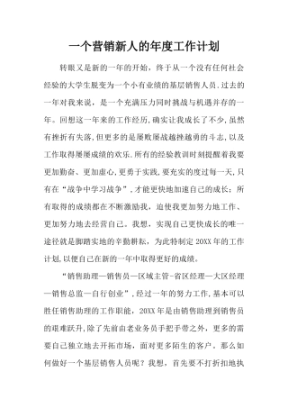 一个营销新人的年度工作计划