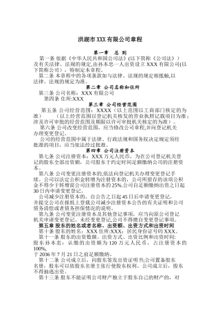 一人出资公司章程