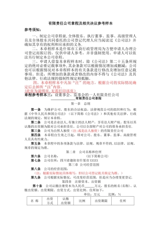 一人公司设立章程-设董事会不设监事会