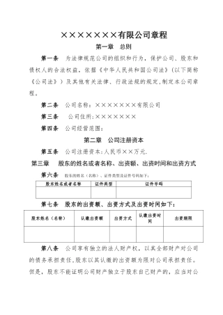 一人有限公司章程(法人独资)