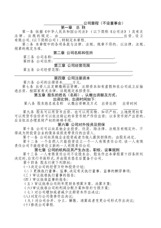 一人有限责任公司(不设董事会)