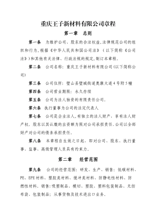 一人有限责任公司章程(不设董事会、监事会-只设执行董事、监事)