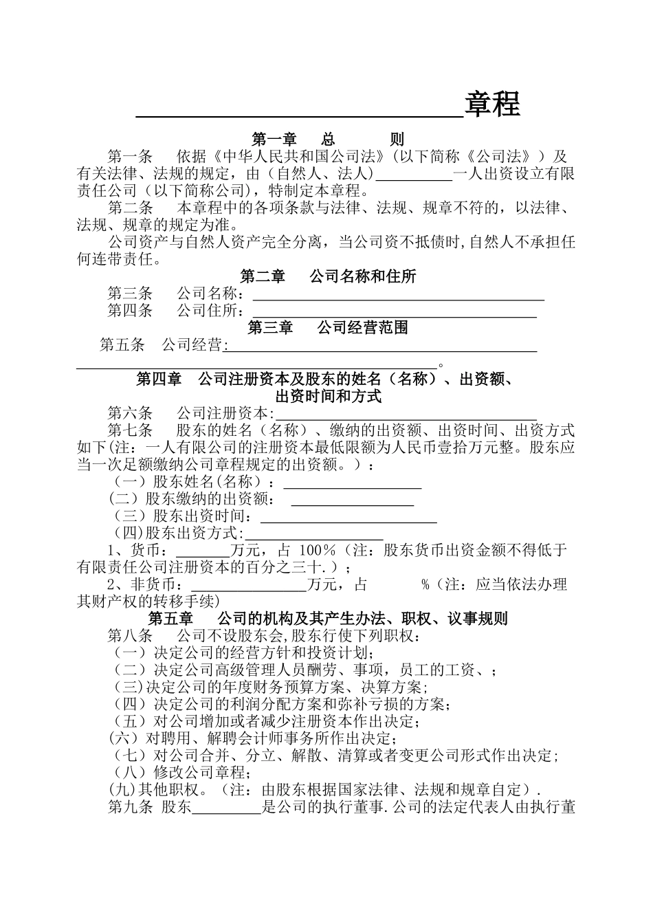 一人有限责任公司章程--空白_第1页