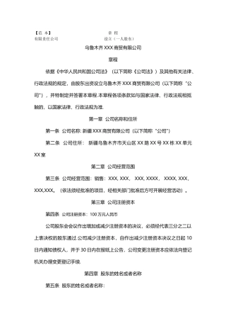 一人股东有限责任公司章程