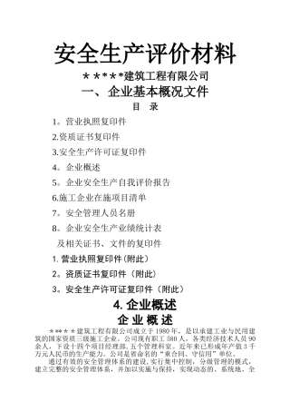 一套完整的建筑施工企业安全生产评价资料