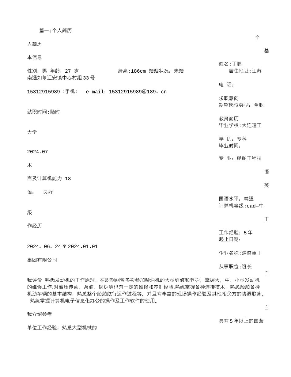 丁鹏个人简历_第1页