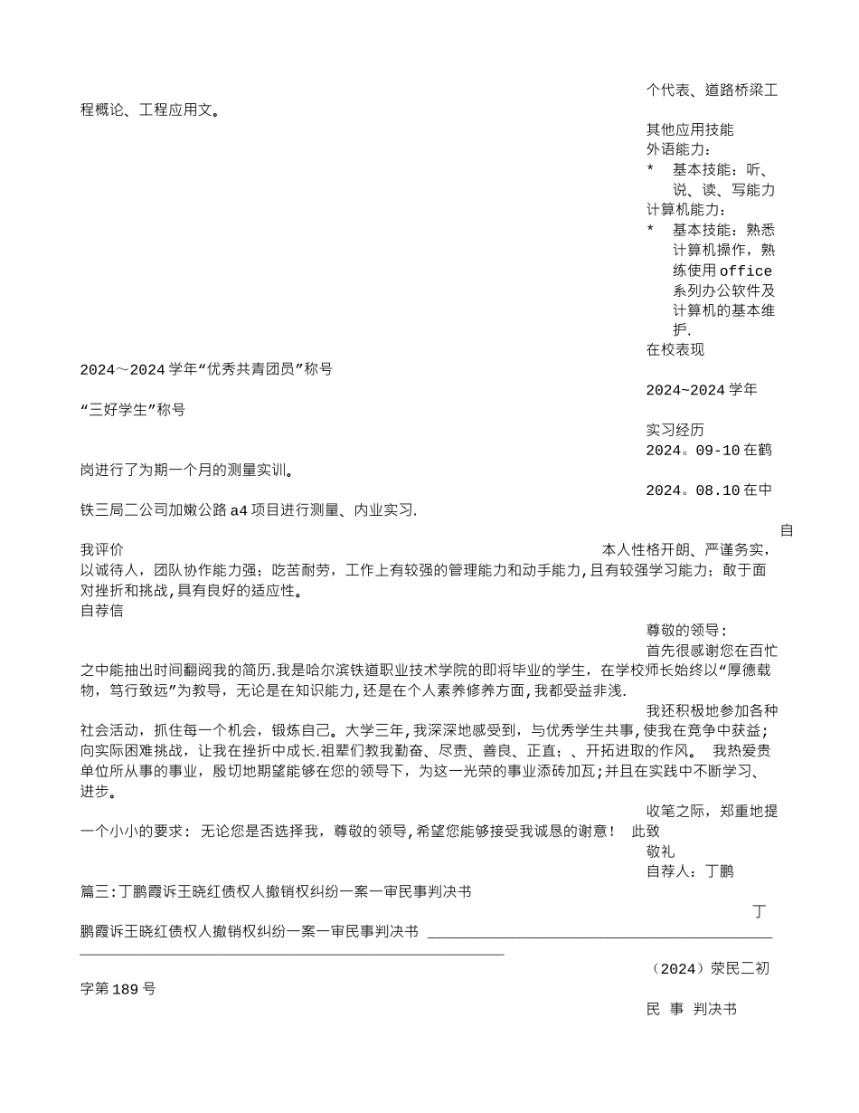 丁鹏个人简历_第3页