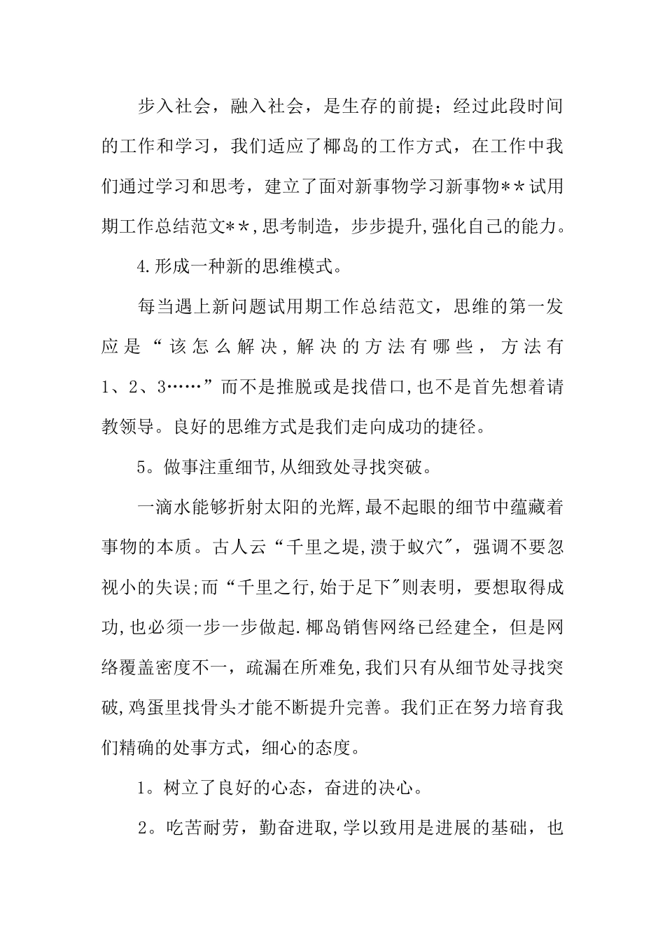 七天试用期工作总结_第2页