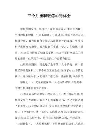 三个月挂职锻炼心得体会