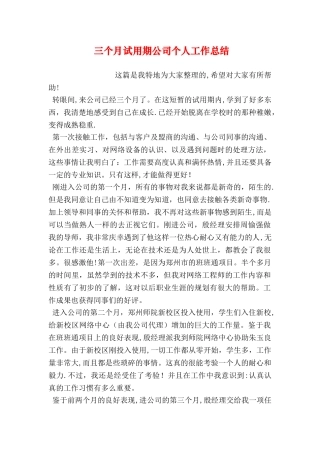 三个月试用期公司个人工作总结
