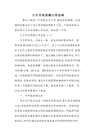 三个月试用期工作总结精选范文