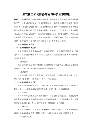 三友化工公司财务分析与评价---文献综述
