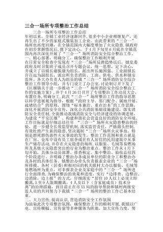 三合一场所专项整治工作总结最新精选文档