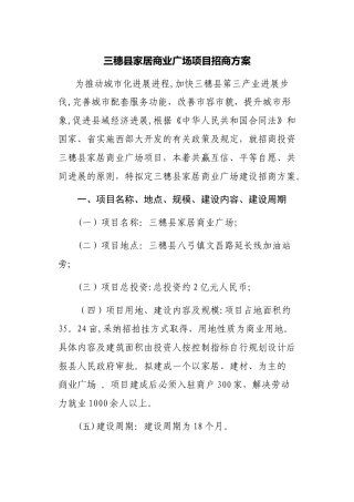 三穗家居商业广场项目招商方案