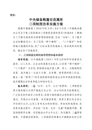 三项制度改革实施方案