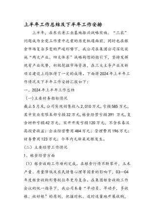 上半年工作总结及下半年工作安排