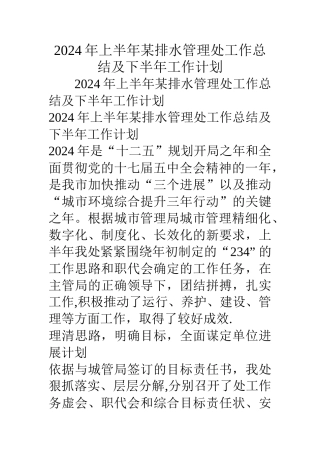 上半年某排水管理处工作总结及下半年工作计划