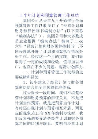 上半年计划和预算管理工作总结