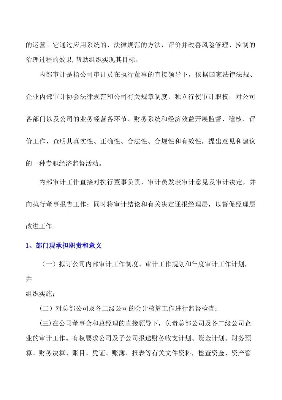 上市公司内部审计制度_第2页