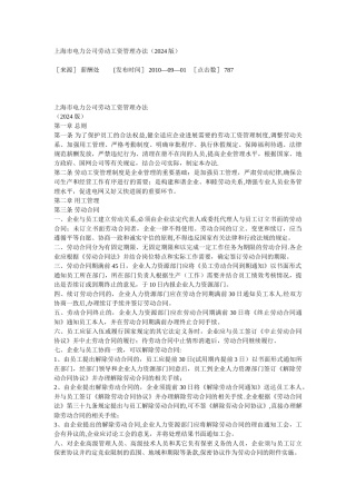 上海市电力公司劳动工资管理办法