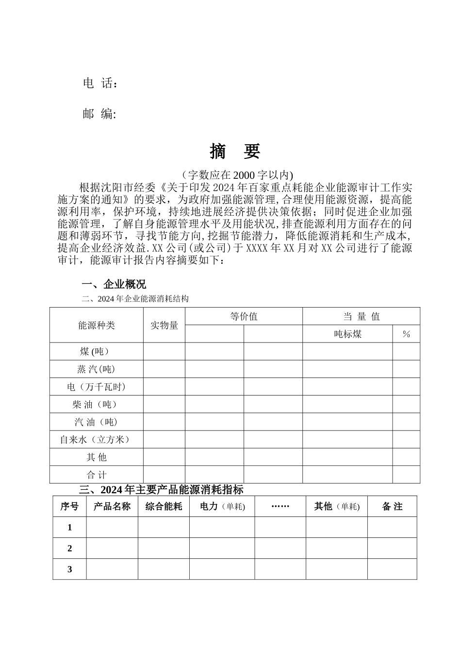 上海市能源审计报告_第3页