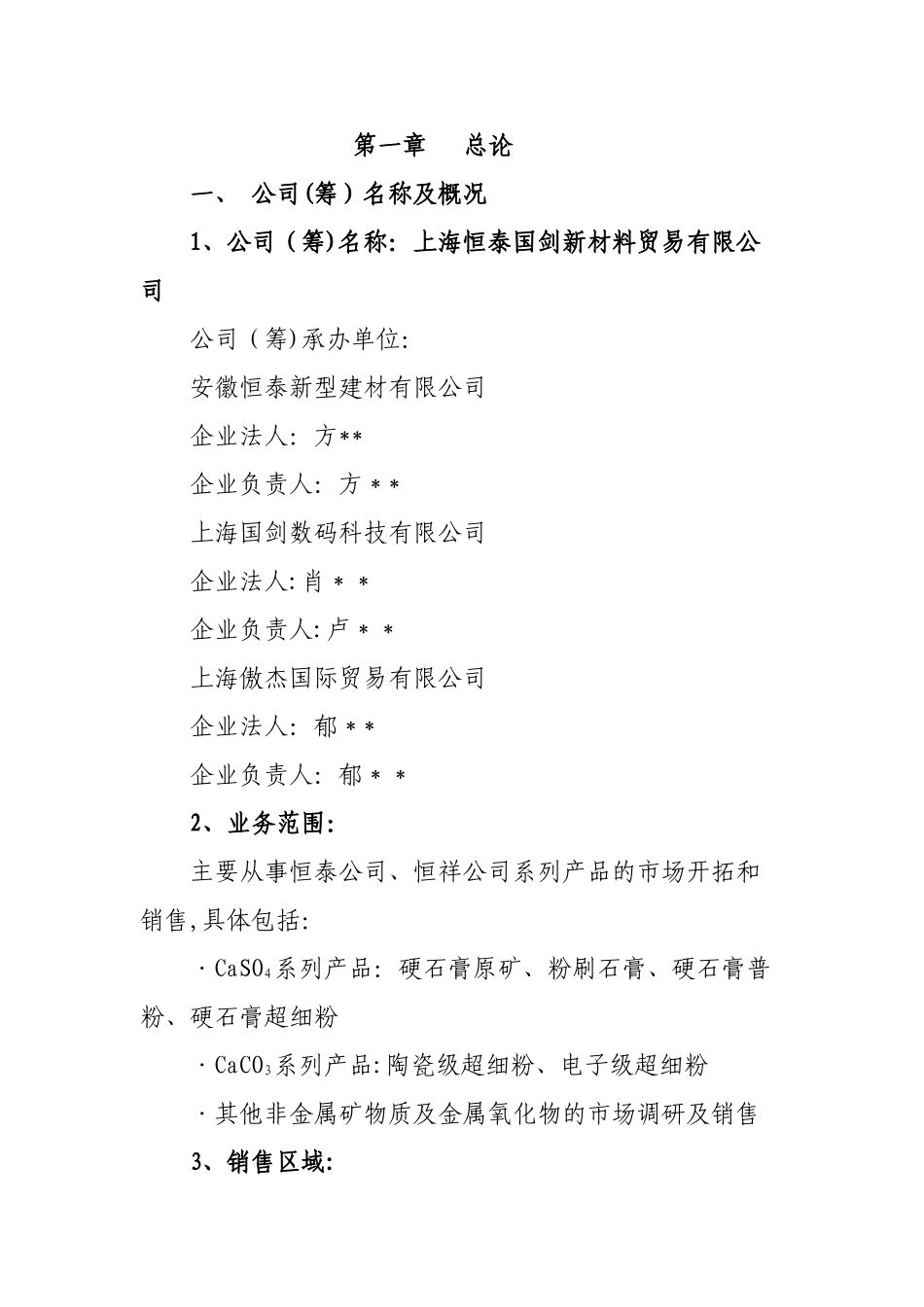 上海恒泰国剑新材料贸易有限公司可行性研究报告-精品_第1页