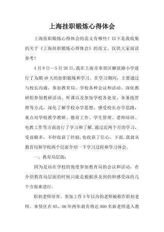 上海挂职锻炼心得体会