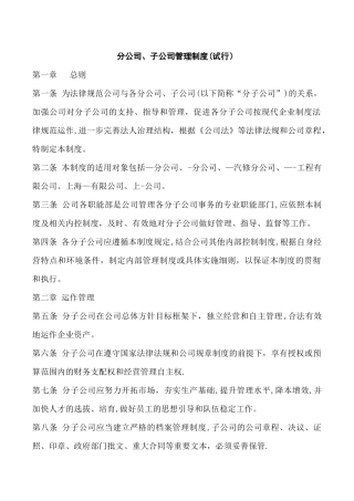 上海江南集团公司分子公司管理办法