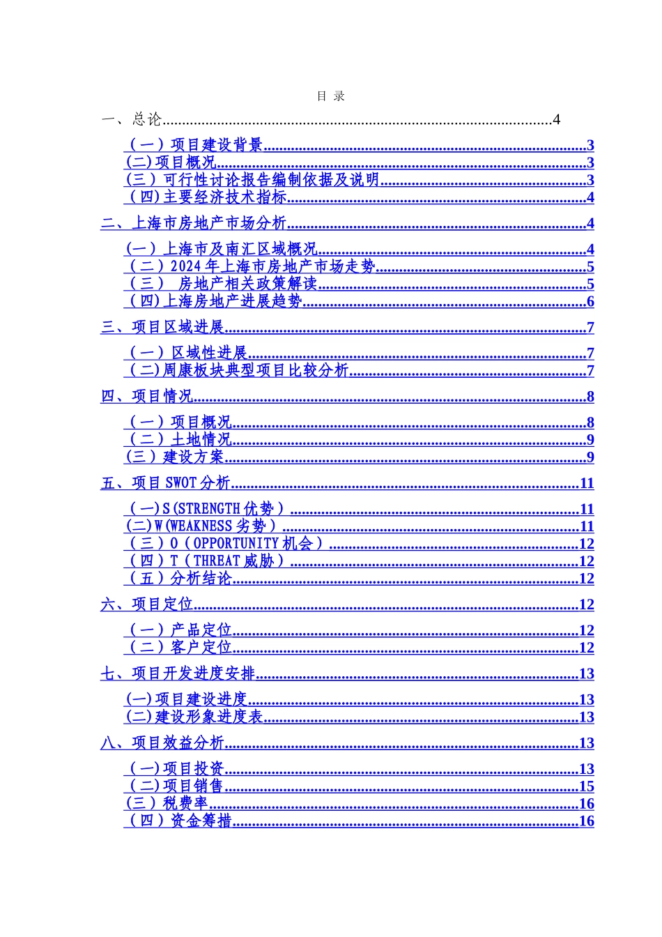 上海目可行性研究报告_第2页