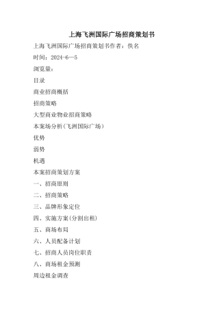 上海飞洲国际广场招商策划书