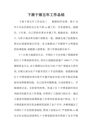 下派干部五年工作总结