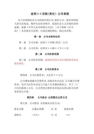 不设董事会的一人有限公司章程