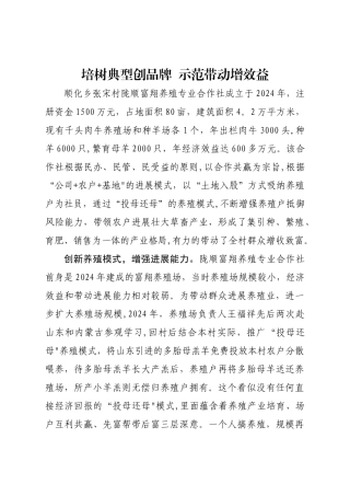 专业合作社典型材料