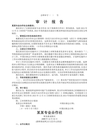 专业合作社--审计报告--范文