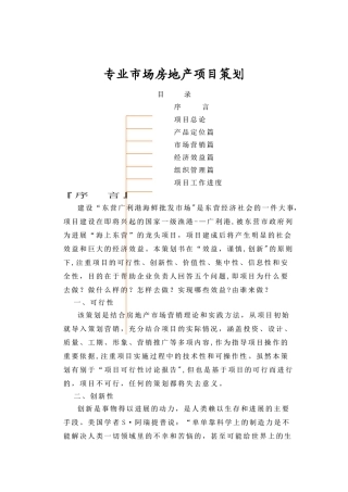 专业市场房地产项目策划