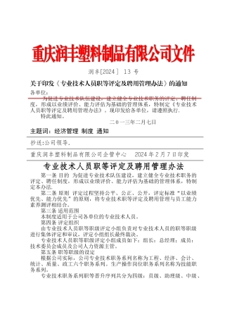 专业技术人员职等评定及聘用管理办法