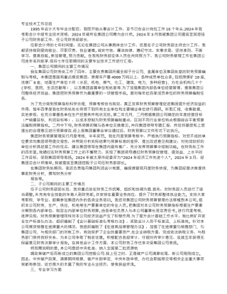 专业技术工作总结会计师