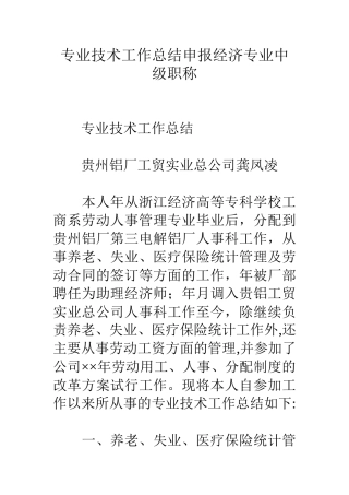 专业技术工作总结申报经济专业中级职称