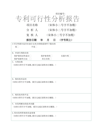专利可行性分析报告
