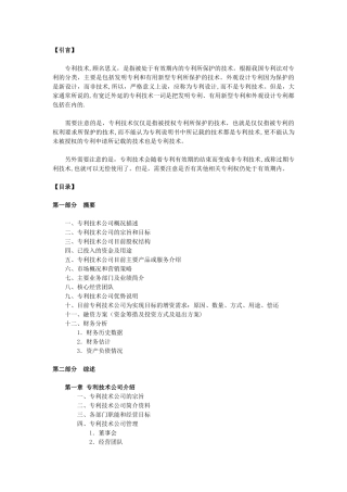 专利技术商业计划书