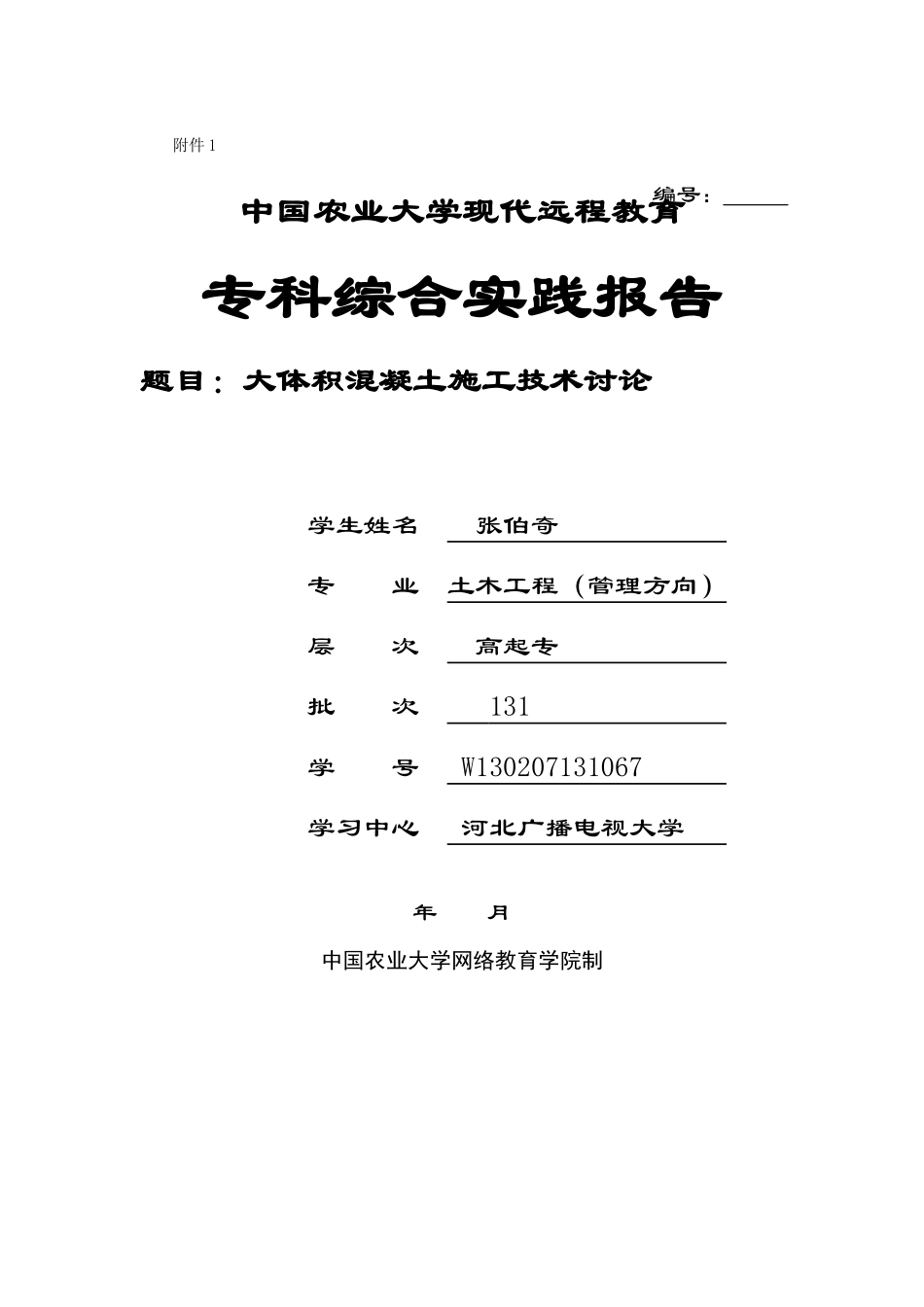 专科实践报告模板_第1页