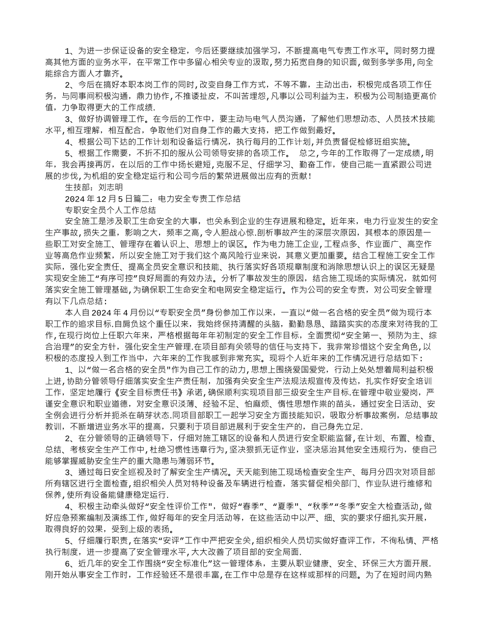 专责工作总结_第2页