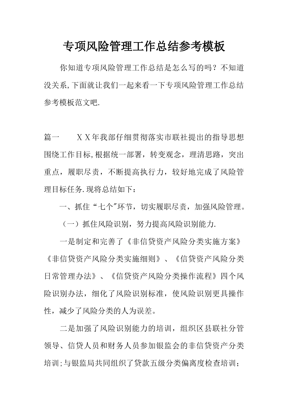 专项风险管理工作总结参考模板_第1页