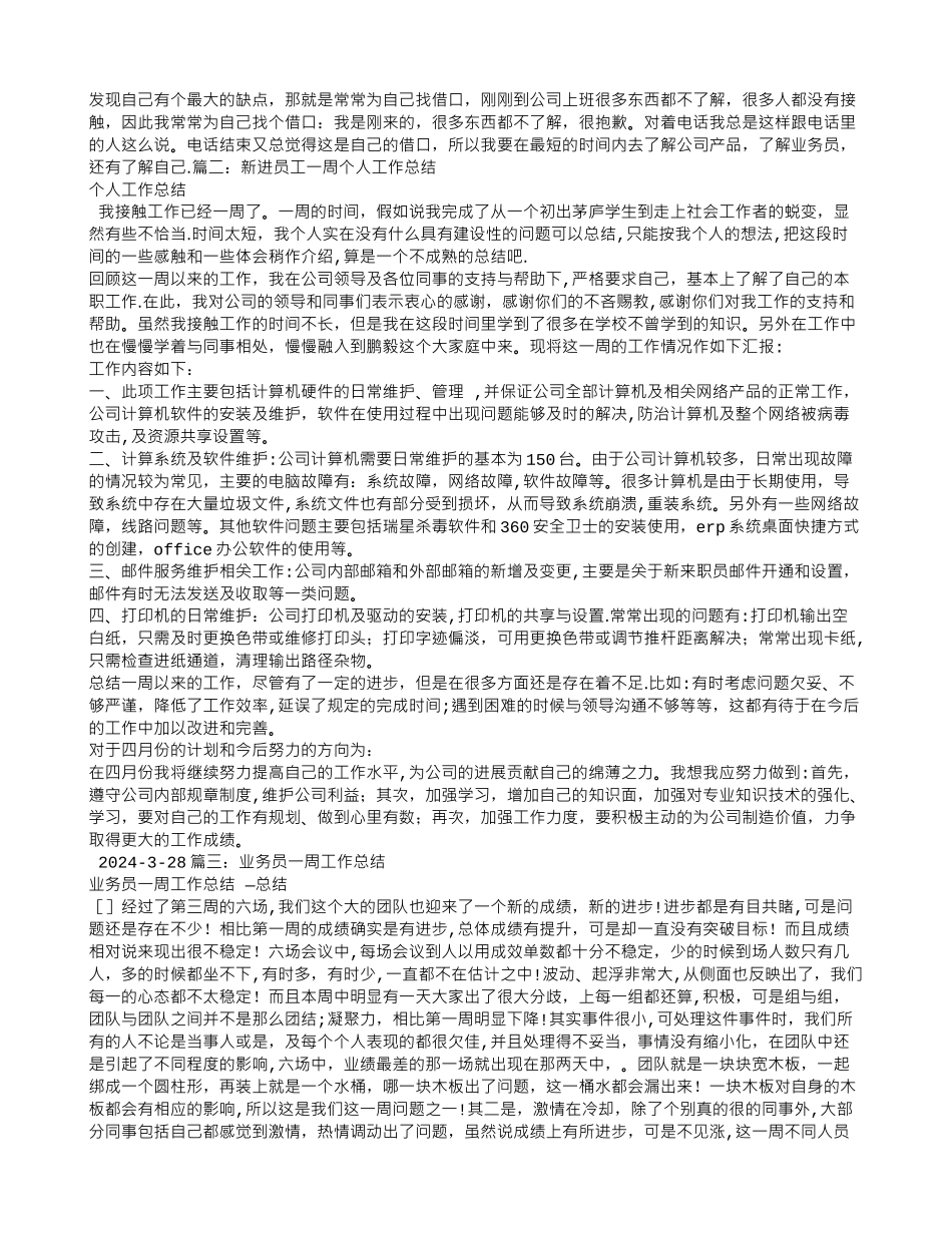 业务员一周工作总结_第2页