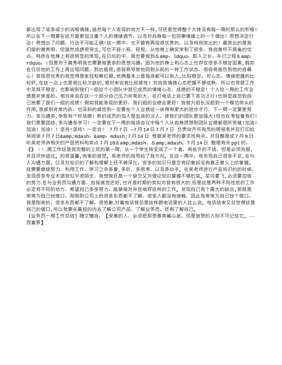 业务员一周工作总结_第3页