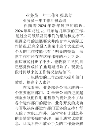 业务员一年工作汇报总结