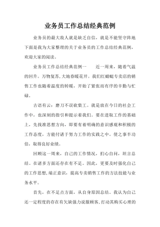 业务员工作总结经典范例